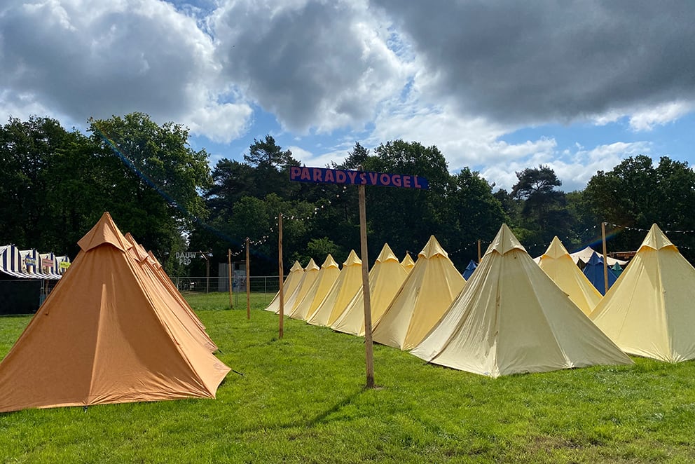 Dauwpop